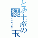 とある土産の緑　　玉（まりもっこリ）