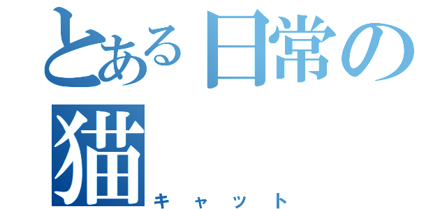 とある日常の猫（キャット）