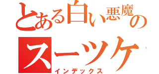 とある白い悪魔のスーツケース（インデックス）