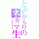 とあるがもりのネカマ生活（いじめないでネ☆）