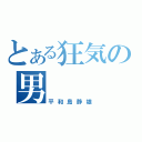 とある狂気の男（平和島静雄）