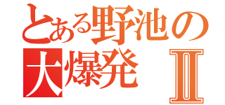 とある野池の大爆発Ⅱ（）