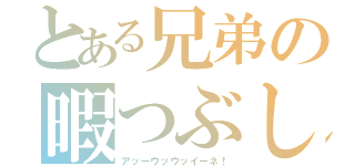 とある兄弟の暇つぶし（アッーウッウッイーネ！）