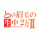 とある眉毛の生中２万Ⅱ（パンチドランカー）