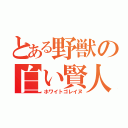 とある野獣の白い賢人（ホワイトゴレイヌ）