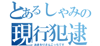 とあるしゃみの現行犯逮捕（おまわりさんこっちです）