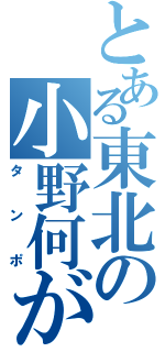 とある東北の小野何がし（タンポ）