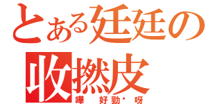 とある廷廷の收撚皮（嘩 好勁揪呀）