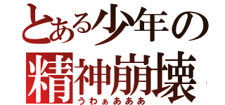 とある少年の精神崩壊（うわぁあああ）