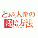 とある人参の栽培方法（ラグナロク）