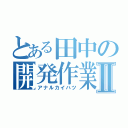 とある田中の開発作業Ⅱ（アナルカイハツ）