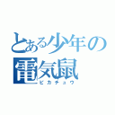 とある少年の電気鼠（ピカチュウ）