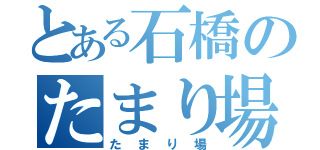 とある石橋のたまり場（たまり場）