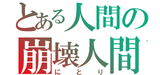 とある人間の崩壊人間（にとり）