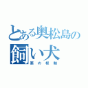 とある奥松島の飼い犬（悪の枢軸）