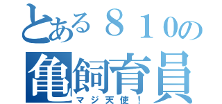 とある８１０の亀飼育員（マジ天使！）