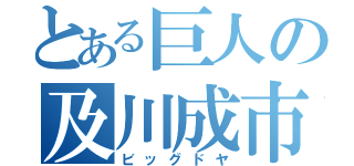 とある巨人の及川成市（ビッグドヤ）