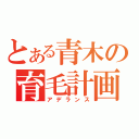 とある青木の育毛計画（アデランス）