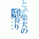 とある柴犬の兎狩り（ピヨピヨ）