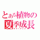 とある植物の夏季成長（サマーアップ）