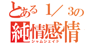 とある１／３の純情感情（シャムシェイド）