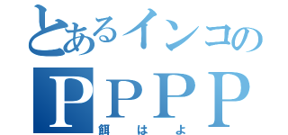 とあるインコのＰＰＰＰ（餌はよ）