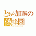 とある加藤の偽蜂園（水飴で２倍に増量した詐欺蜂蜜）