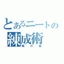 とあるニートの練成術（親の金）