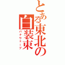 とある東北の白装束（パナウェーブ）