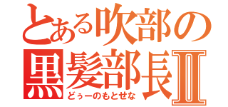 とある吹部の黒髪部長Ⅱ（どぅーのもとせな）