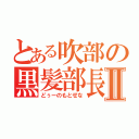 とある吹部の黒髪部長Ⅱ（どぅーのもとせな）