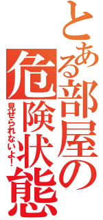 とある部屋の危険状態（見せられないよ！）