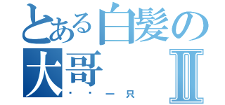 とある白髪の大哥Ⅱ（傻佬一只）