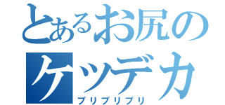 とあるお尻のケツデカス（プリプリプリ）