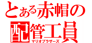 とある赤帽の配管工員（マリオブラザーズ）