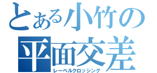 とある小竹の平面交差（レーベルクロッシング）