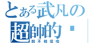 とある武凡の超帥的喲（別不相信哦）