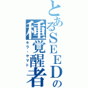 とあるＳＥＥＤの種覚醒者（キラ・ヤマト）