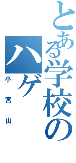 とある学校のハゲ（小宮山）