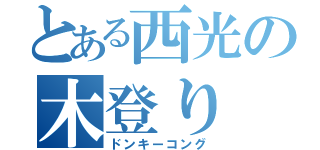 とある西光の木登り（ドンキーコング）