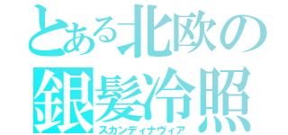 とある北欧の銀髪冷照（スカンディナヴィア）