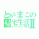 とあるまこの帰宅生活Ⅱ（ゴーバックライフ）