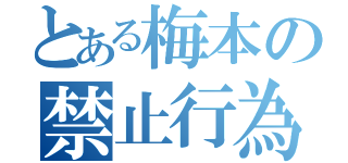 とある梅本の禁止行為（）