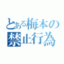 とある梅本の禁止行為（）