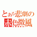 とある悲劇の赤色微風（艾爾被斷招）