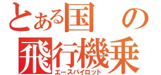 とある国の飛行機乗り（エースパイロット）