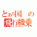 とある国の飛行機乗り（エースパイロット）