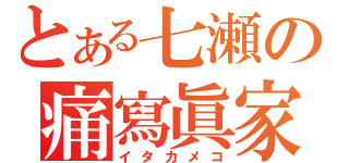 とある七瀬の痛寫眞家（イタカメコ）