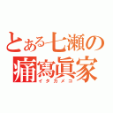 とある七瀬の痛寫眞家（イタカメコ）