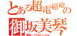 とある超電磁砲の御坂美琴（御坂ってかわいいよね）